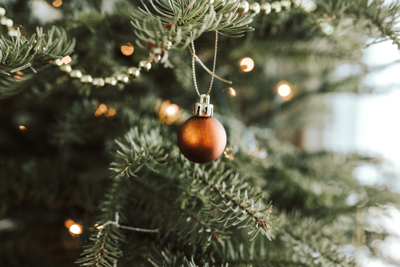 Chistmas bulb on a christmas tree